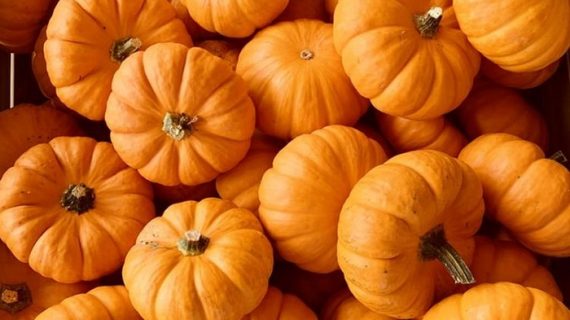 Makanan Yang Bagus Untuk Kesehatan – Labu