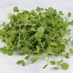 Makanan Yang Bagus Untuk Kesehatan – Selada Air